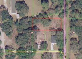 Large Buildable
              Lot in the Village of Parrish - SOLD